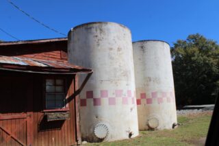 Any “Walking Dead” fans here? This was from a couple years ago while in Senoia, Georgia.