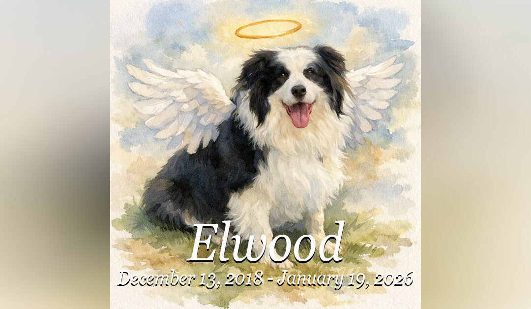 Crossing the Rainbow Bridge