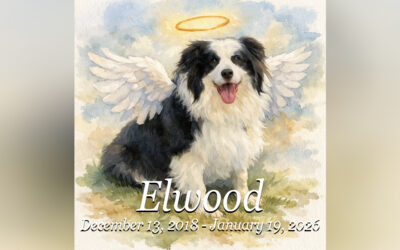 Crossing the Rainbow Bridge