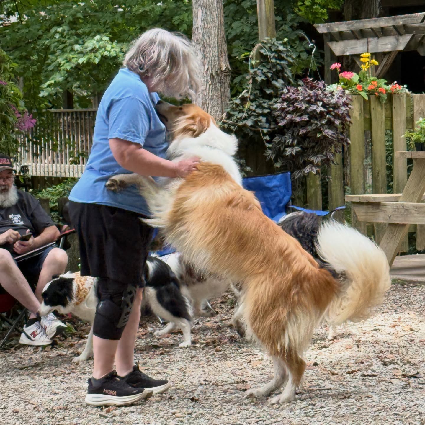 Today was a special day - a “family reunion” of sorts for dogs and their families who came through @clancys.dream Border Collie Rescue (Bowie being one of them). This is Bowie getting to see Teresa, his foster mom who cared for him prior to his coming home with us. I’d say they were quite excited to see each other again! ❤️☺️