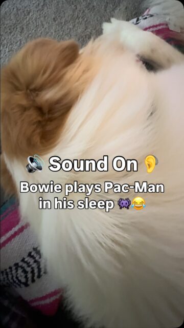 Tell me that doesn’t sound like the classic “wacka-wacka” sound effect!! 😂👾
