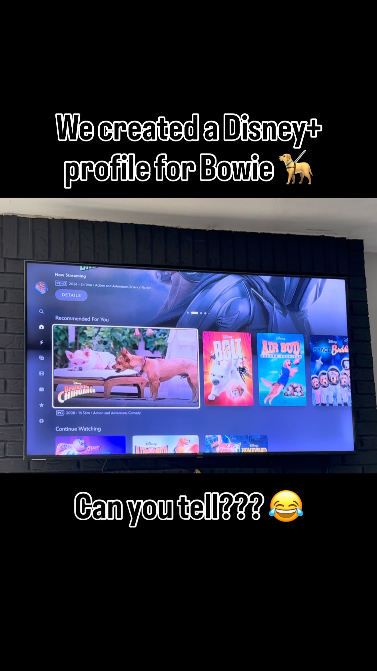 Recommended for Bowie 🤔
When we have to leave Bowie alone, we usually turn on an animal-oriented show for him to watch. We even created a profile for him on @disneyplus - can you tell based on the “Recommended for you”?? 🦮😂