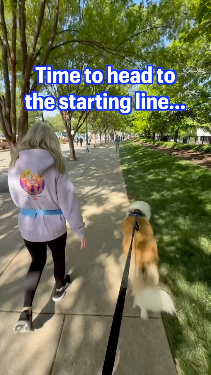 September 9th is National When Pigs Fly Day (seriously!), so here are some clips from Cincinnati’s annual Flying Pig Marathon (specifically, Bowie’s very first Flying Fur race).