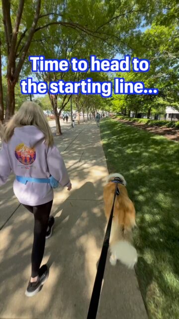September 9th is National When Pigs Fly Day (seriously!), so to celebrate, we have some clips from Cincinnati's annual Flying Pig Marathon (specifically, Bowie's very first Flying Fur race).