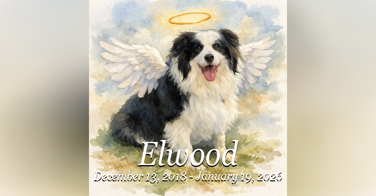 Crossing the Rainbow Bridge